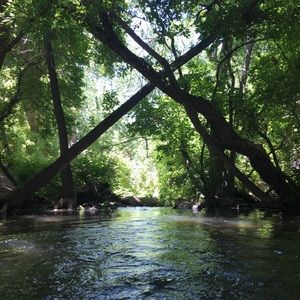 Meet your Posher, Rheannq